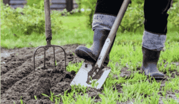 Blooming Garden Centre: Your Destination for Quality